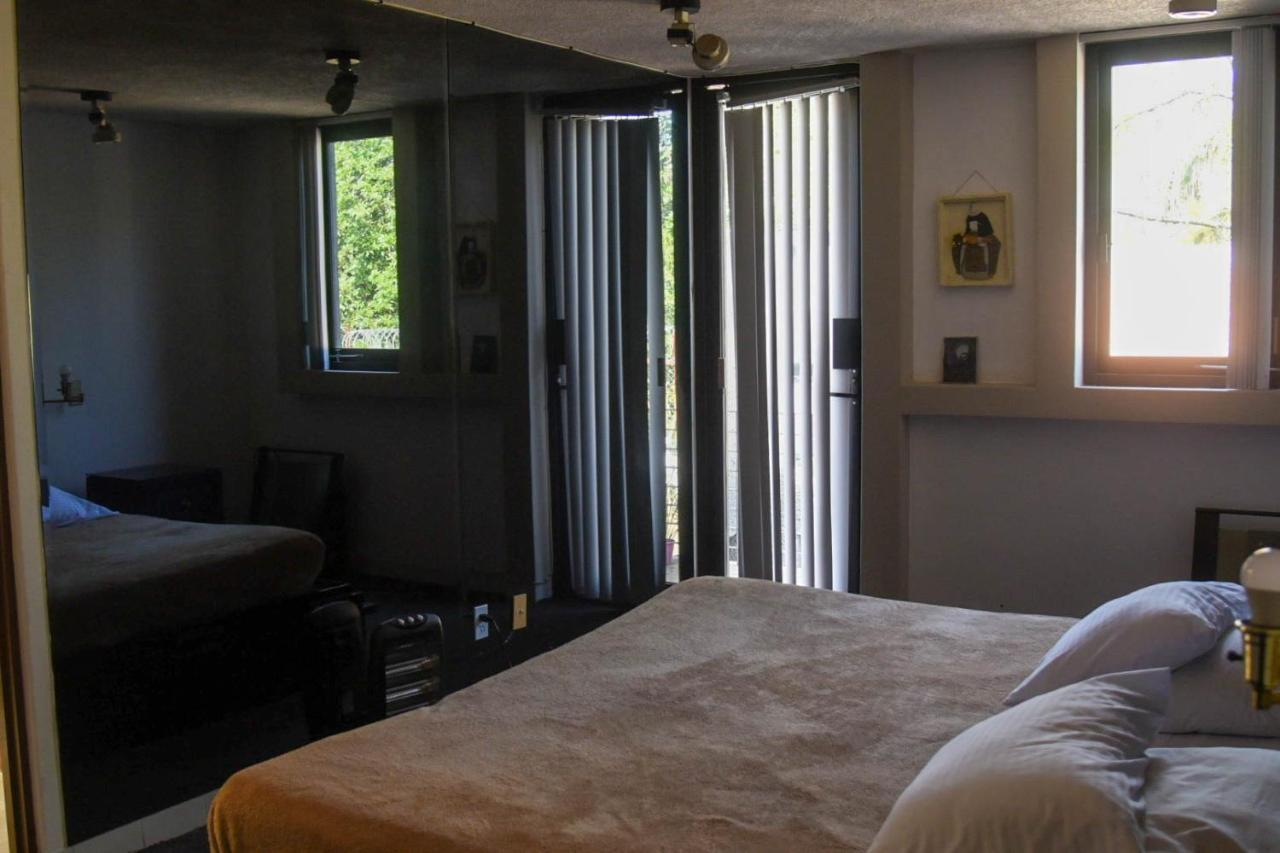 Casa Lulu Coyoacan Alvaro Obregon Екстер'єр фото
