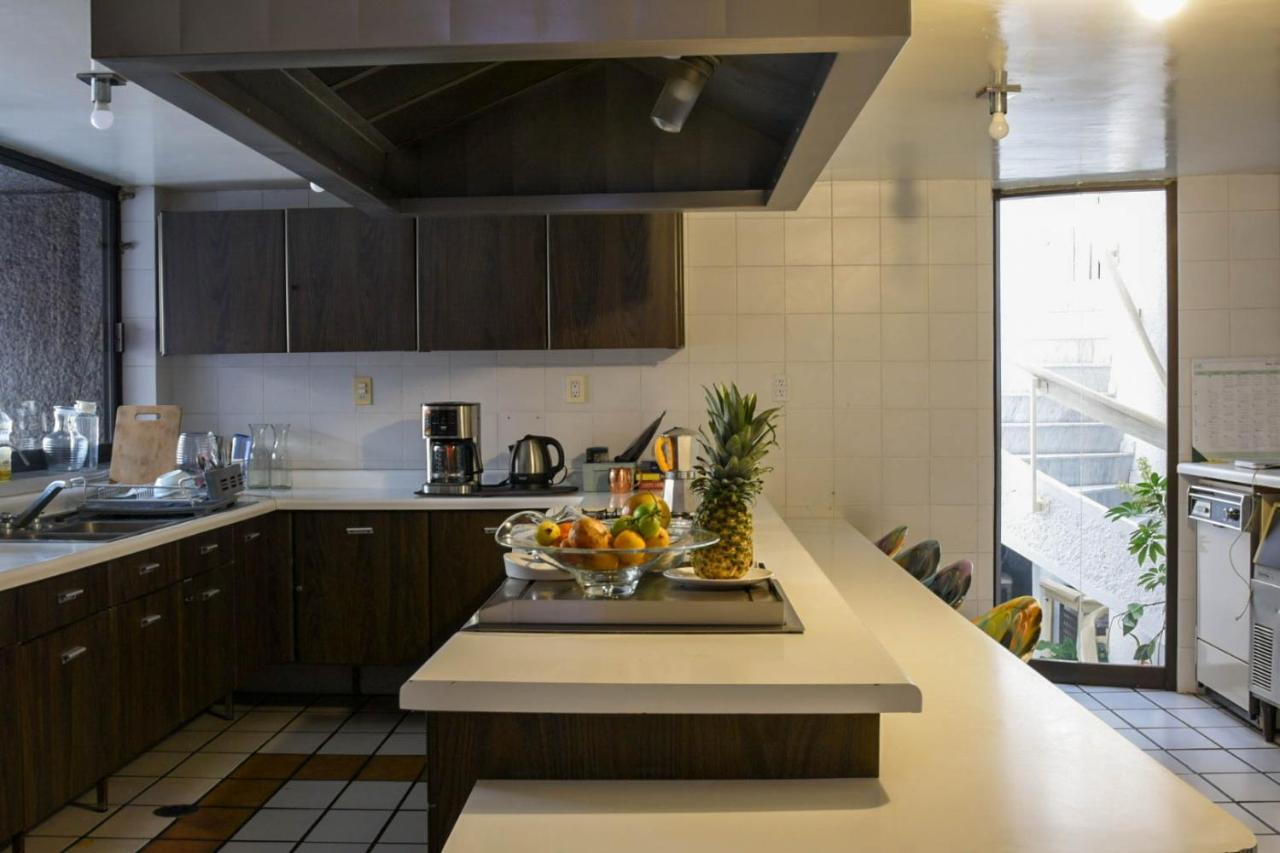 Casa Lulu Coyoacan Alvaro Obregon Екстер'єр фото