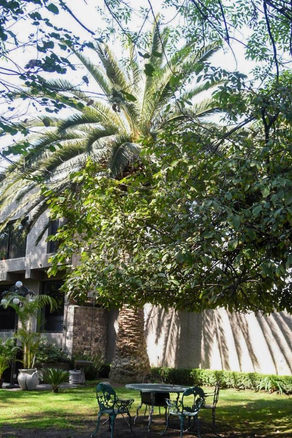 Casa Lulu Coyoacan Alvaro Obregon Екстер'єр фото
