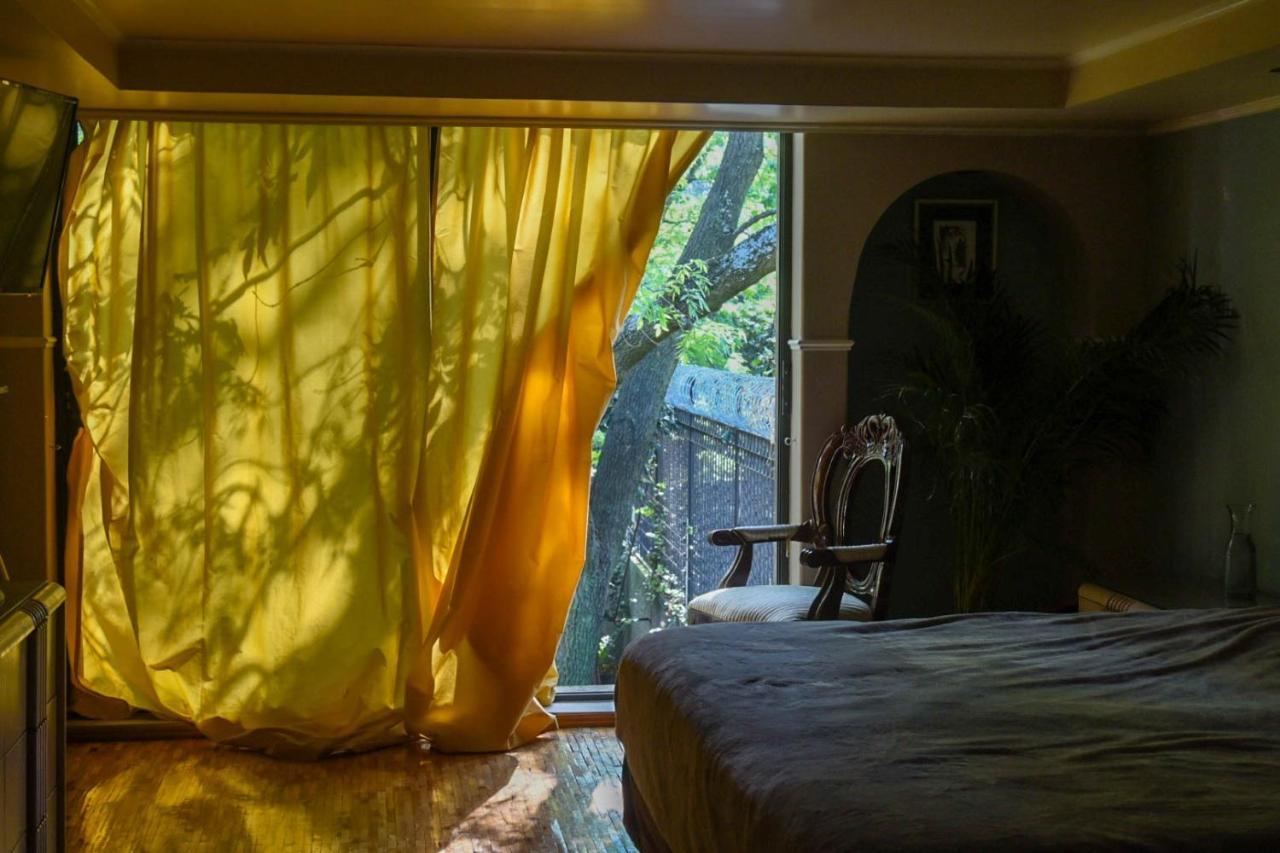 Casa Lulu Coyoacan Alvaro Obregon Екстер'єр фото